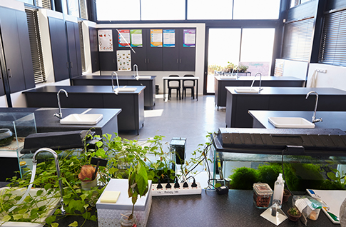 Lockers in a school hallway